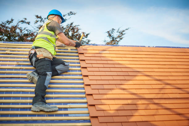 Best Roof Maintenance and Cleaning  in Quarryville, PA